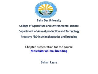 Chapter presentation for the course
Molecular animal breeding
 
