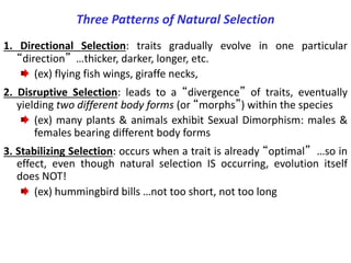 Evolution of genetic variance-covariance structuer in animal.pptx