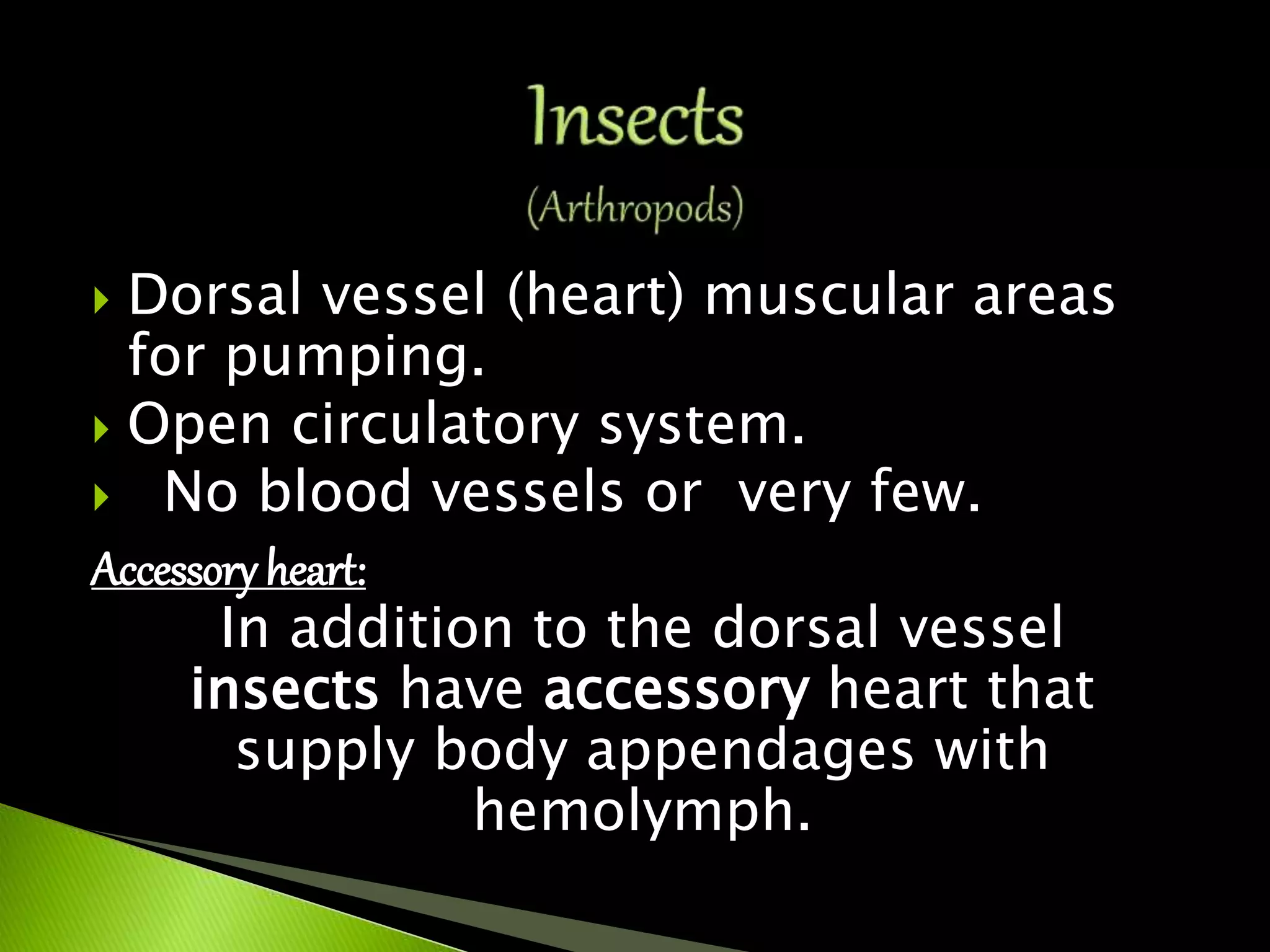  Dorsal vessel (heart) muscular areas
for pumping.
 Open circulatory system.
 No blood vessels or very few.
Accessory heart:
In addition to the dorsal vessel
insects have accessory heart that
supply body appendages with
hemolymph.
 
