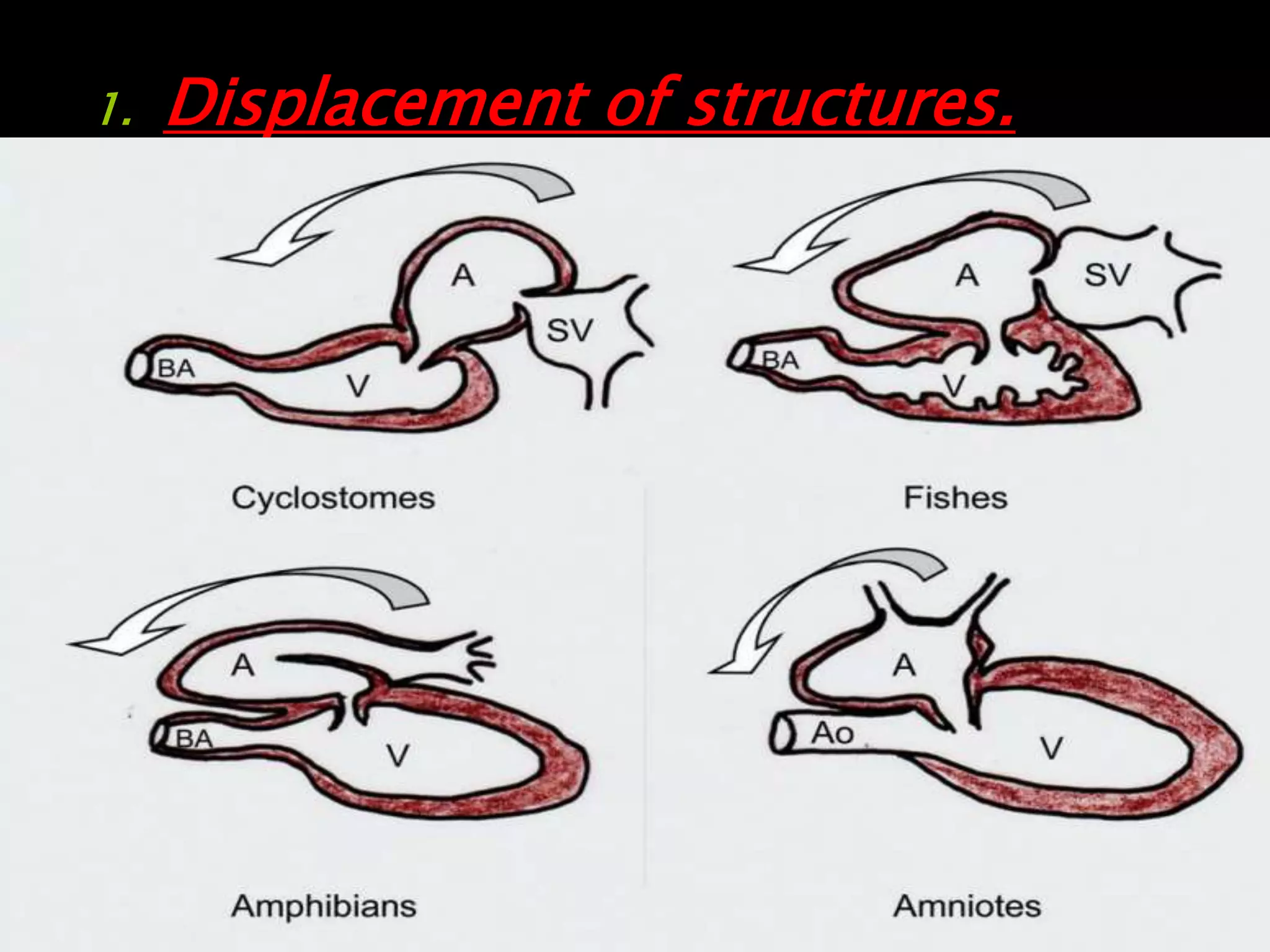 1. Displacement of structures.
 