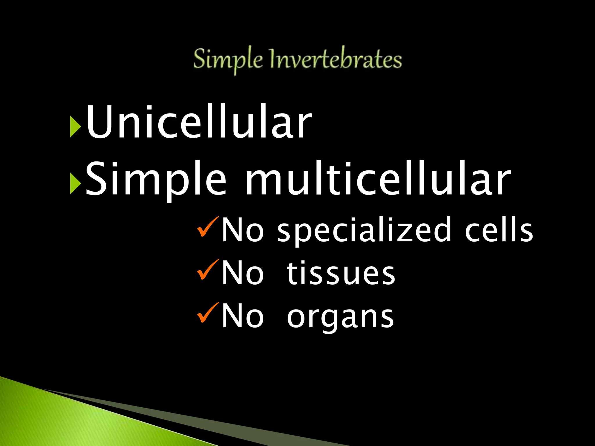Unicellular
Simple multicellular
No specialized cells
No tissues
No organs
 