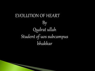 EVOLUTION OF HEART
By
Qudrat ullah
Student of uos subcampus
bhakkar
 