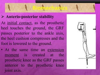 Biomechanics
 Anterio-posterior stability
At initial contact, as the prosthetic
heel touches the ground, the GRF
passes posterior to the ankle axis,
the heel cushion compresses and the
foot is lowered to the ground.
• At the same time an extension
moment is created at the
prosthetic knee as the GRF passes
anterior to the prosthetic knee
joint axis.
 