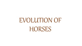 EVOLUTION OF
HORSES
 
