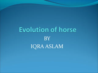 BY
IQRA ASLAM
 