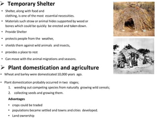  Temporary Shelter
• Shelter, along with food and
clothing, is one of the most essential necessities.
• Materials such straw or animal hides supported by wood or
bones which could be quickly be erected and taken down.
• Provide Shelter
• protects people from the weather,
• shields them against wild animals and insects,
• provides a place to rest
• Can move with the animal migrations and seasons.
 Plant domestication and agriculture
• Wheat and barley were domesticated 10,000 years ago.
• Plant domestication probably occurred in two stages;
1. weeding out competing species from naturally growing wild cereals;
2. collecting seeds and growing them.
Advantages
• crops could be traded
• populations became settled and towns and cities developed.
• Land ownership
 