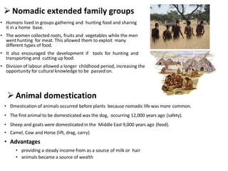  Nomadic extended family groups
• Humans lived in groups gathering and hunting food and sharing
it in a home base.
• The ...