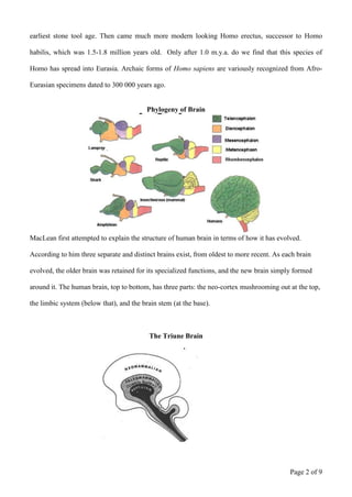 Evolution of human brain & mind | DOC