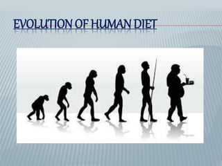 EVOLUTION OF HUMAN DIET
 