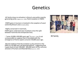 Evolution of human language final | PPTX | Genetics | Science