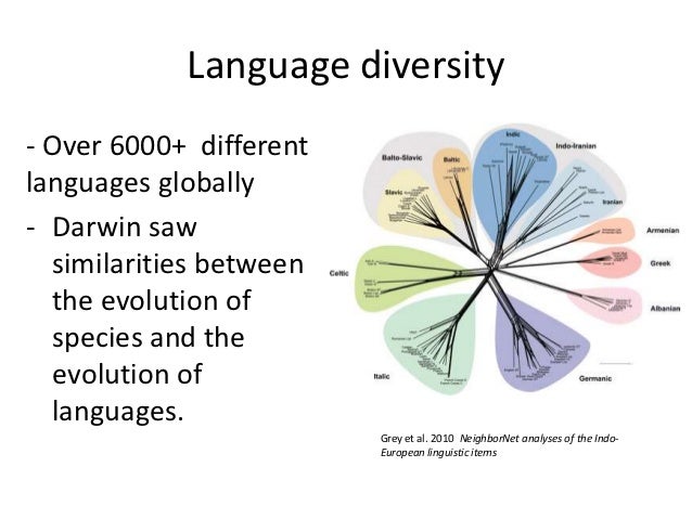 Evolution of human language final