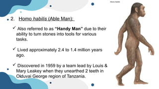 Evolution of Human Race.pptx . | PPTX