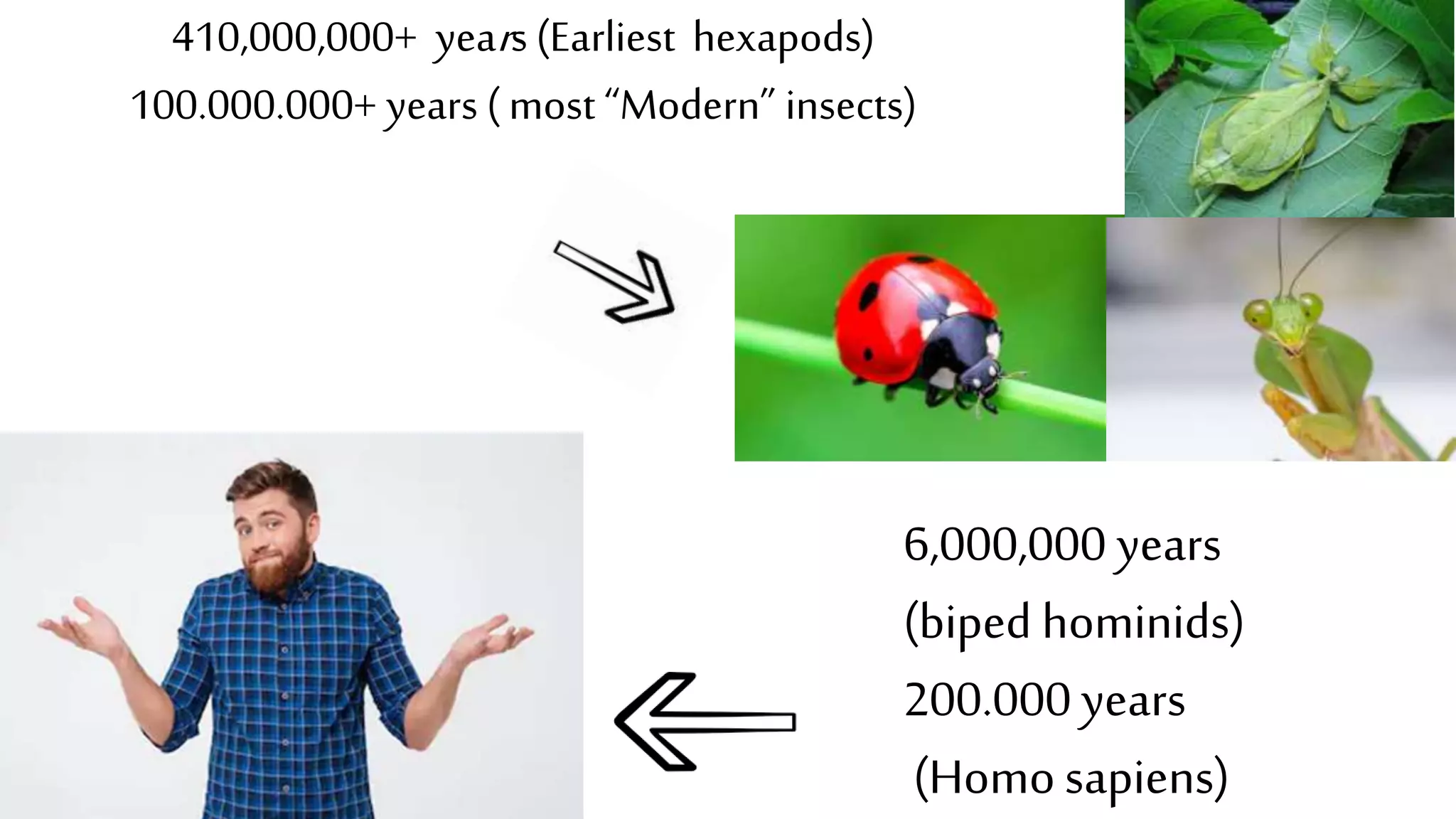 410,000,000+ years (Earliest hexapods)
100.000.000+ years ( most “Modern” insects)
6,000,000 years
(biped hominids)
200.000 years
(Homosapiens)
 