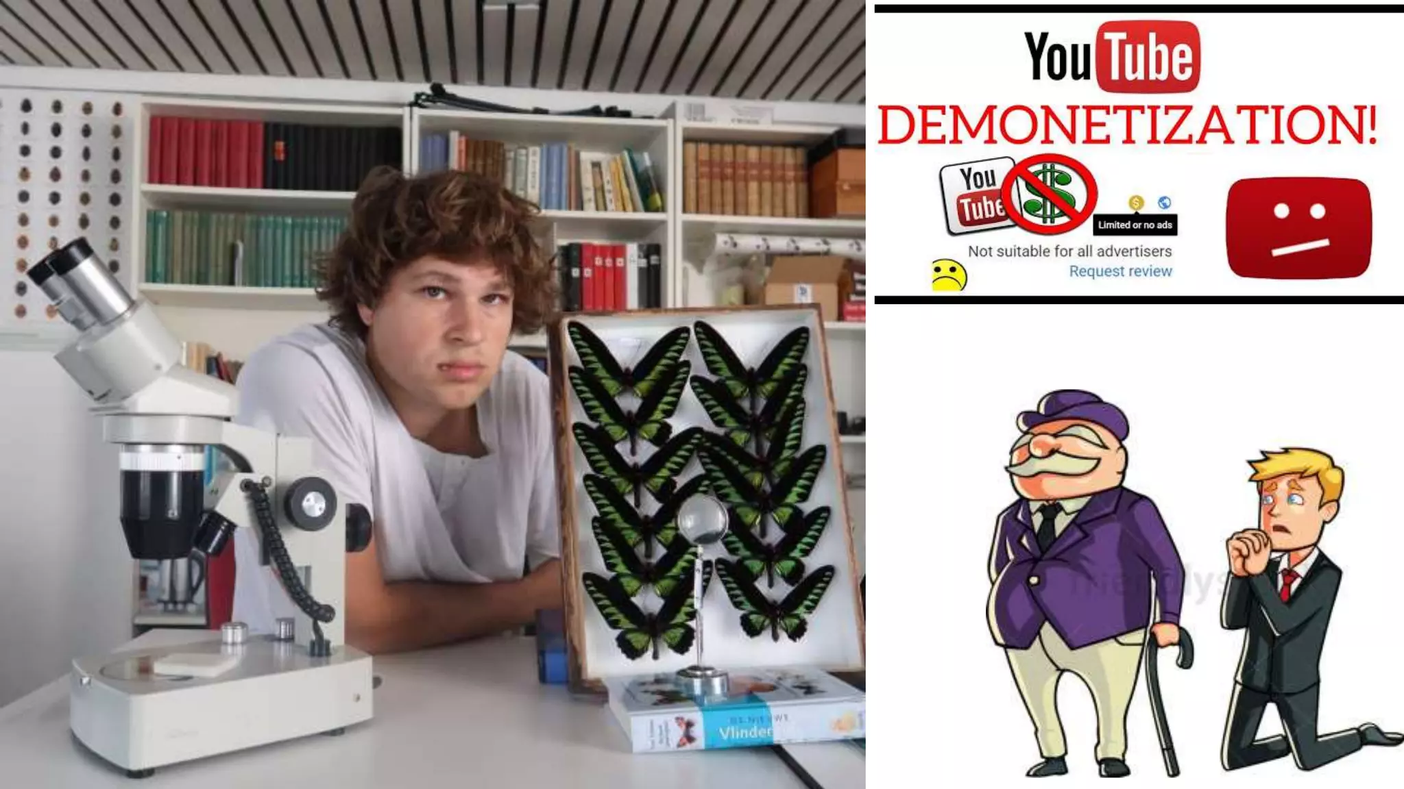 The Evolution of Insects: PART TWO / Permian to Anthropocene - Bug School / Entomology Course