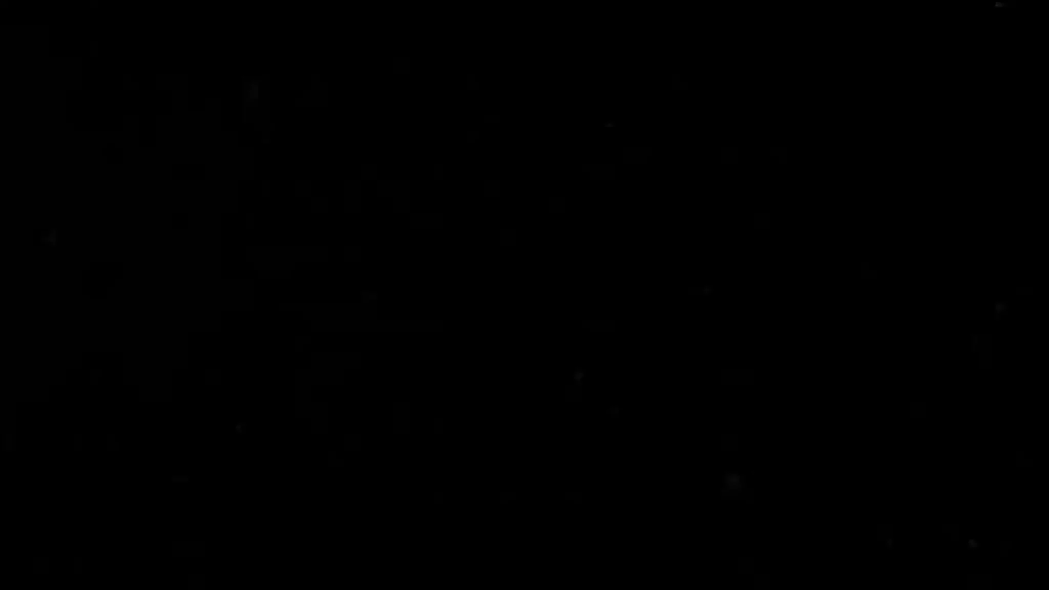 The Evolution of Insects: PART TWO / Permian to Anthropocene - Bug School / Entomology Course