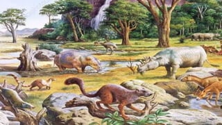 The Evolution of Insects: PART TWO / Permian to Anthropocene - Bug ...