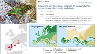 The Evolution of Insects: PART TWO / Permian to Anthropocene - Bug ...