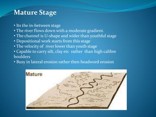 Mature Stage
• Its the in-between stage
• The river flows down with a moderate gradient.
• The channel is U-shape and wider than youthful stage
• Depositional work starts from this stage
• The velocity of river lower than youth stage
• Capable to carry silt, clay etc rather than high calibre
boulders
• Busy in lateral erosion rather then headword erosion
 