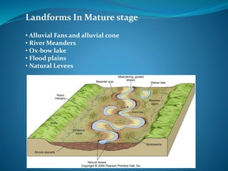 Landforms In Mature stage
• Alluvial Fans and alluvial cone
• River Meanders
• Ox-bow lake
• Flood plains
• Natural Levees
 