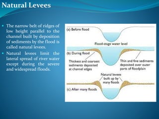 Natural Levees
 The narrow belt of ridges of
low height parallel to the
channel built by deposition
of sediments by the flood is
called natural levees.
 Natural levees limit the
lateral spread of river water
except during the severe
and widespread floods.
 