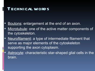 Technical words Boutons :  enlargement at the end of an axon. Microtubule : one of the active matter components of the cytoskeleton. Neurofilament : a type of intermediate filament that serve as major elements of the cytoskeleton supporting the axon cytoplasm. Astrocyte : characteristic star-shaped glial cells in the brain. 
