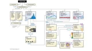 25.1
EVOLUTION
is
Change through time
is
is
due to due to
does not produce
Changes in allele frequencies
Descent with modification
due to
Inbreeding
• Mating among
relatives
• Changes
genotype
frequencies,
but not allele
frequencies
Sexual selection
25.6 25.6
• Occurs when
traits used in
attracting
mates vary,
and individuals
with certain
traits attract
the most
mates
includes
includes includes
NATURAL SELECTION
• Occurs when traits vary,
and individuals with
certain traits produce
the most offspring
24.1
24.3–5
25.2
exposes
deleterious
alleles to
Non-random mating
25.6
Text section where
you can find more
information
is the only
evolutionary
mechanism that
can produce
Adaptation
• Involves heritable
traits only
24.3, 24.5
Fitness
• Measured by number of
offspring produced
24.3,
24.5
25.1–6
usually
reduces
due to
25.3
GENETIC DRIFT
• Changes in allele frequencies
due entirely to chance
• Especially important in small
populations
due to due to
MUTATION
• Random changes in DNA
• Creates new alleles
• Occurs in every individual in
every generation, at low
frequency
15.4, 25.5
GENE FLOW
• Occurs when individuals move
between populations
• Homogenizes allele frequencies
between populations
Gene
flow 25.4
due to lack of
produces divergence required for
produces
divergence
required for
produces divergence required for
26.2–4
SPECIATION
Results from:
1. Genetic isolation, followed by
2. Genetic divergence
creates new branches on
form smallest possible tips on
The TREE OF LIFE
• Describes the
evolutionary
relationships
among species
1.3, 27.1
“prune”
MASS EXTINCTIONS
• 60% of species are lost in less
than 1 million years
• 5 events in the past 542 million
years
• Is analogous to genetic drift
27.4
may occur after
forms new
26.1
Species
Evolutionarily independent units
in nature, identified by:
1. Reproductive isolation, and/or
2. Phylogenetic analysis, and/or
3. Morphological differences
with
Synamorphies
• Traits that are unique to a single
lineage (found in some species
but not others)
• Arise in a common ancestor
26.1
27.1
that
may
be
Key innovations
• Traits that allow
species to exploit
resources in a
new way or use
new habitats
27.4
may
result
in
ADAPTIVE RADIATIONS
• Rapid and extensive speciation
in a single lineage
• Dramatic divergence in
morphology or behavior
(species use a wide array of
resources/habitats)
27.3
 