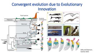 Convergent evolution due to Evolutionary
Innovation
Kelly and Pyenson,
Science 2015
 