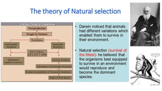 The theory of Natural selection
 