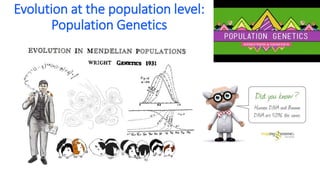 Evolution at the population level:
Population Genetics
 