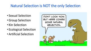 • Sexual Selection
• Group Selection
• Kin Selection
• Ecological Selection
• Artificial Selection
Natural Selection is NOT the only Selection
 