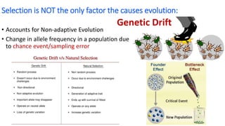 Selection is NOT the only factor the causes evolution:
• Accounts for Non-adaptive Evolution
• Change in allele frequency in a population due
to chance event/sampling error
Genetic Drift
 