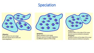 Speciation
 