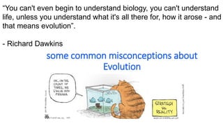 some common misconceptions about
Evolution
“You can't even begin to understand biology, you can't understand
life, unless you understand what it's all there for, how it arose - and
that means evolution”.
- Richard Dawkins
 