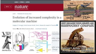 The evolution ‘controversy’
irreducible complexity
(IC): Some biochemical
structures are too
complex to be
explained by known
evolutionary
mechanisms and are
therefore result of
intelligent design.
 