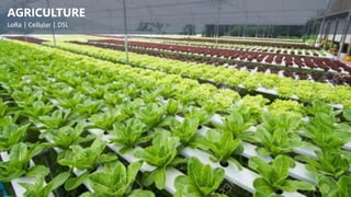 AGRICULTURE
LoRa | Cellular | DSL
 