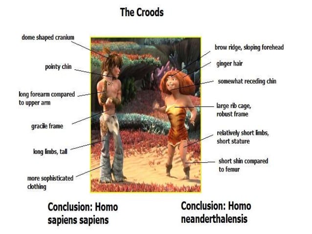 The Neanderthal - Animal / Caveman The Neanderthal - Animal / Caveman