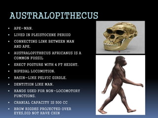 Evolution of man | PPTX