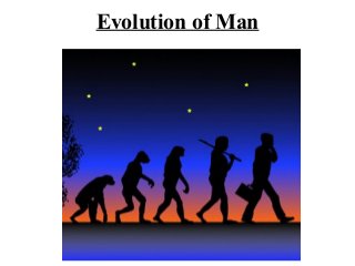 Evolution of Man
 
 