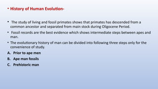 EVOLUTION oof man a brief history of human evolution | PPTX