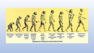 EVOLUTION oof man a brief history of human evolution | PPTX