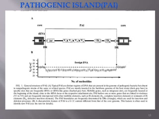 Evolution of Pathogens | PPTX
