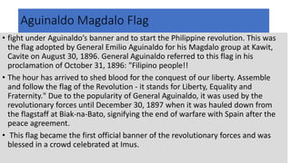 Negros Revolution Flag
 