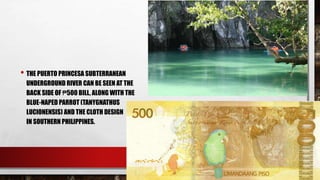 • THE PUERTO PRINCESA SUBTERRANEAN
UNDERGROUND RIVER CAN BE SEEN AT THE
BACK SIDE OF ₱500 BILL, ALONG WITH THE
BLUE-NAPED PARROT (TANYGNATHUS
LUCIONENSIS) AND THE CLOTH DESIGN
IN SOUTHERN PHILIPPINES.
 