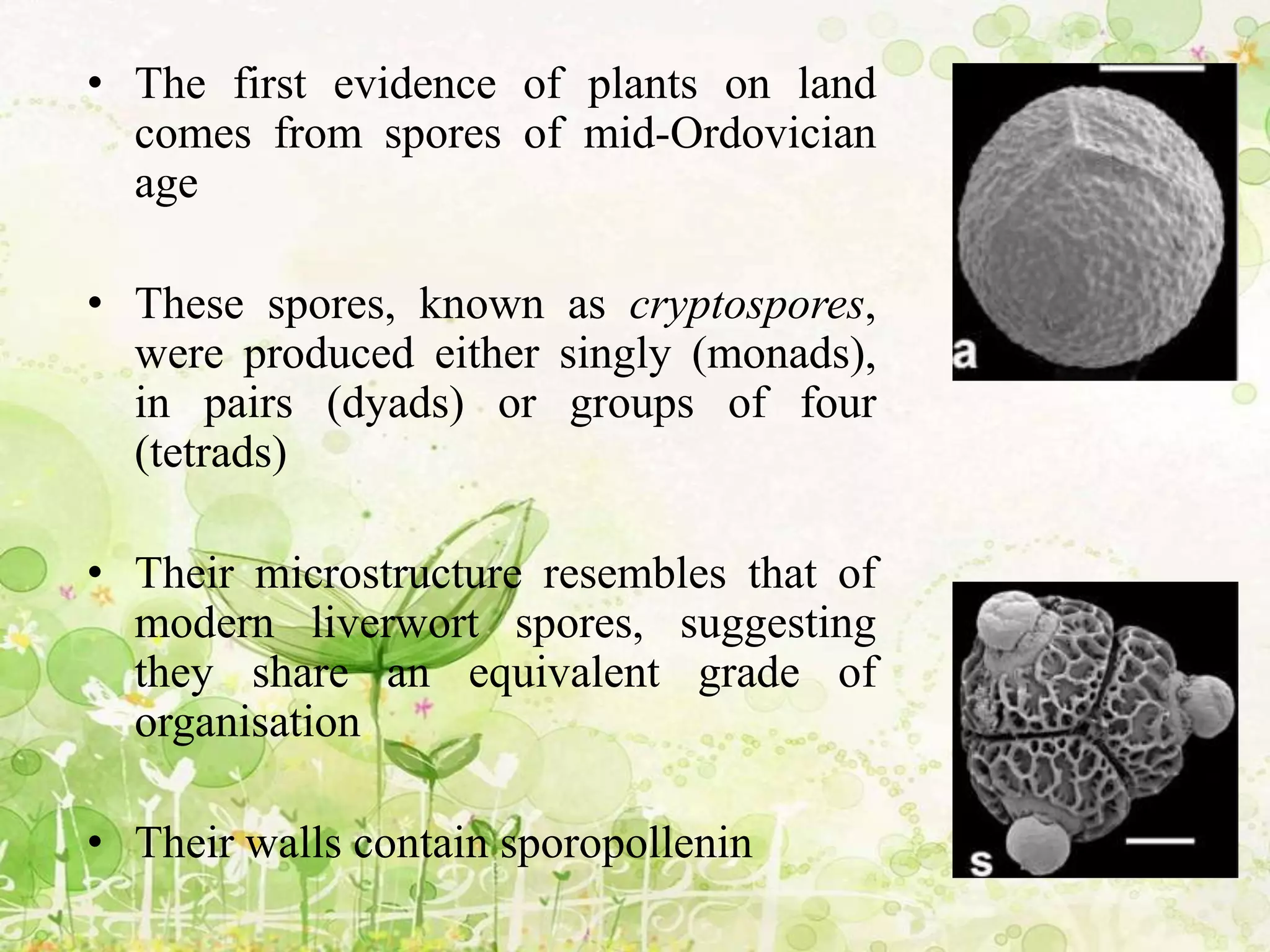 • The first evidence of plants on land
comes from spores of mid-Ordovician
age
• These spores, known as cryptospores,
were produced either singly (monads),
in pairs (dyads) or groups of four
(tetrads)
• Their microstructure resembles that of
modern liverwort spores, suggesting
they share an equivalent grade of
organisation
• Their walls contain sporopollenin
 