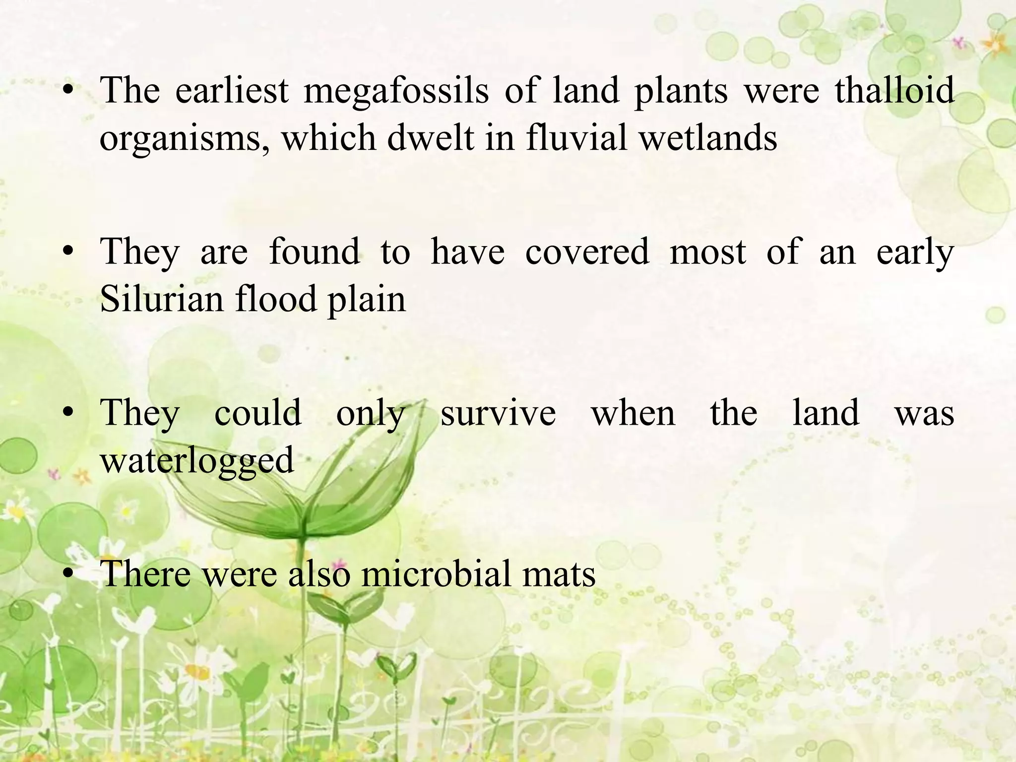 • The earliest megafossils of land plants were thalloid
organisms, which dwelt in fluvial wetlands
• They are found to have covered most of an early
Silurian flood plain
• They could only survive when the land was
waterlogged
• There were also microbial mats
 