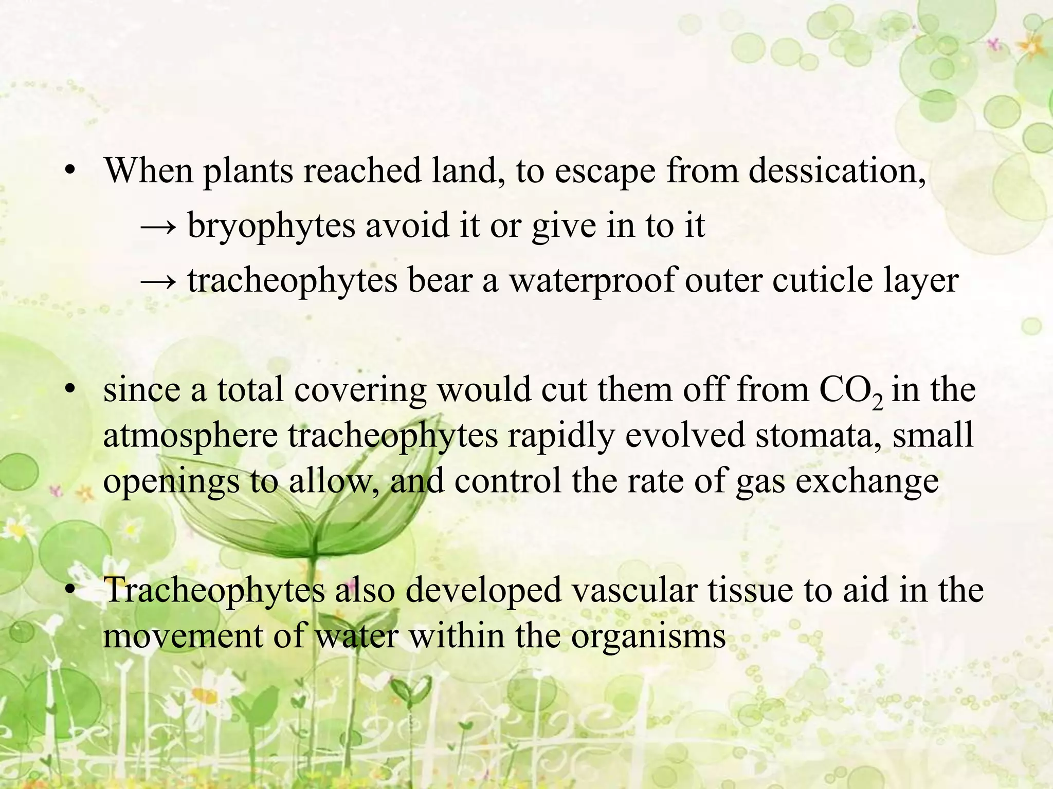 • When plants reached land, to escape from dessication,
→ bryophytes avoid it or give in to it
→ tracheophytes bear a waterproof outer cuticle layer
• since a total covering would cut them off from CO2 in the
atmosphere tracheophytes rapidly evolved stomata, small
openings to allow, and control the rate of gas exchange
• Tracheophytes also developed vascular tissue to aid in the
movement of water within the organisms
 