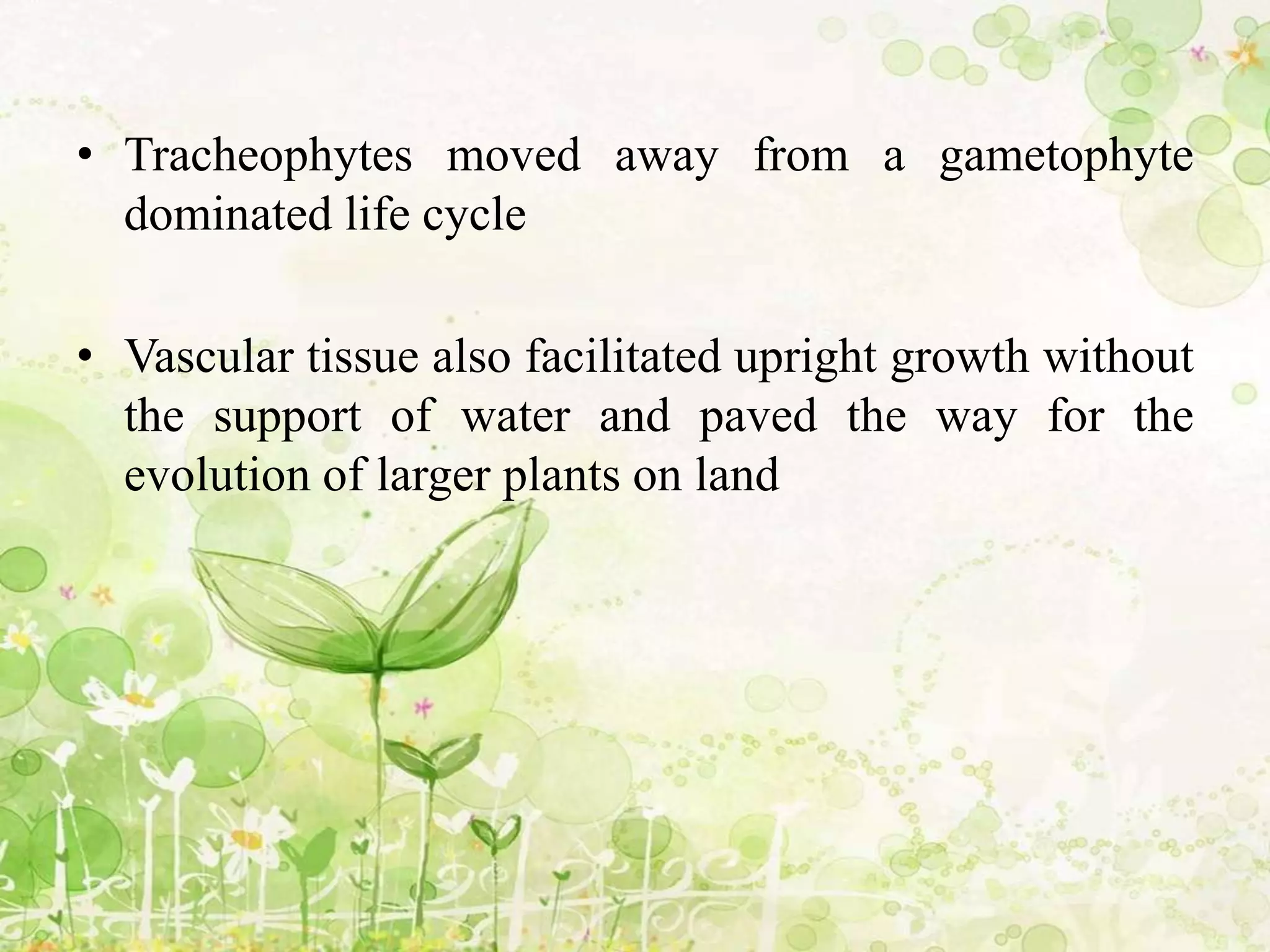 • Tracheophytes moved away from a gametophyte
dominated life cycle
• Vascular tissue also facilitated upright growth without
the support of water and paved the way for the
evolution of larger plants on land
 