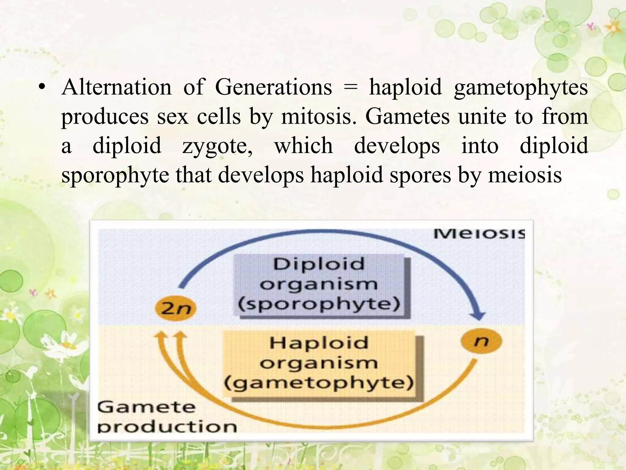 • Alternation of Generations = haploid gametophytes
produces sex cells by mitosis. Gametes unite to from
a diploid zygote, which develops into diploid
sporophyte that develops haploid spores by meiosis
 