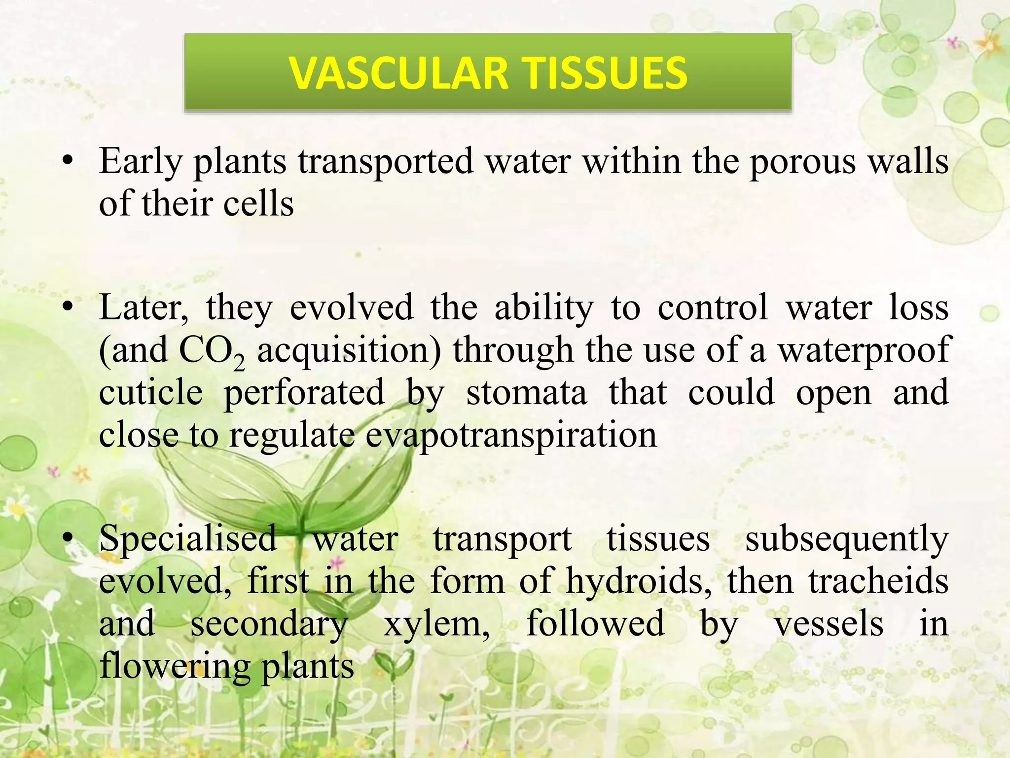 • Early plants transported water within the porous walls
of their cells
• Later, they evolved the ability to control water loss
(and CO2 acquisition) through the use of a waterproof
cuticle perforated by stomata that could open and
close to regulate evapotranspiration
• Specialised water transport tissues subsequently
evolved, first in the form of hydroids, then tracheids
and secondary xylem, followed by vessels in
flowering plants
VASCULAR TISSUES
 