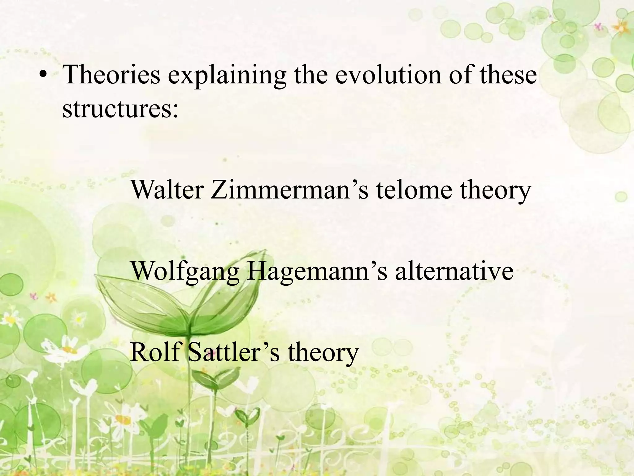 • Theories explaining the evolution of these
structures:
Walter Zimmerman’s telome theory
Wolfgang Hagemann’s alternative
Rolf Sattler’s theory
 